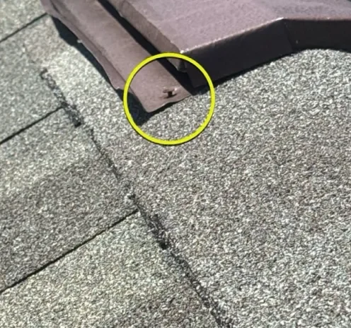 Roof Care (2)