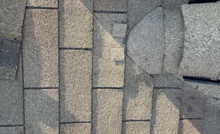 Roof Care (7)